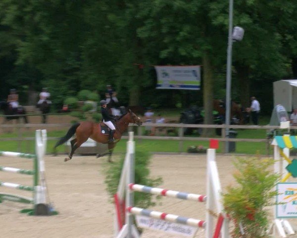Reitturnier Barlo-Bocholt 2024