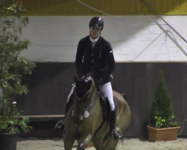 Nationales Hallenspringturnier Sauldorf- Boll 2013