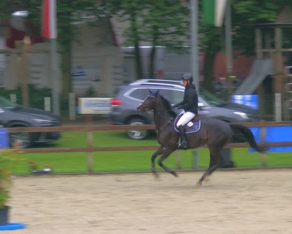 Reitturnier Barlo-Bocholt 2024
