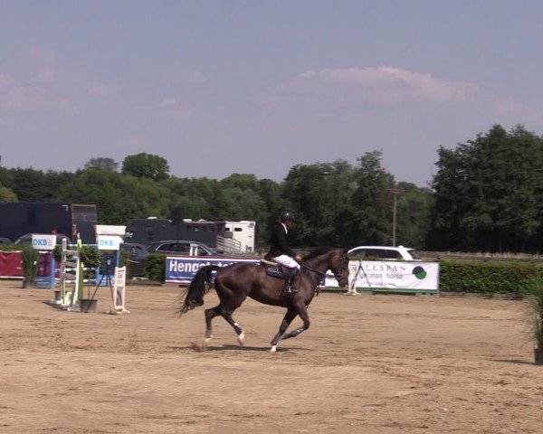Reitturnier Neustadt/Dosse 2024