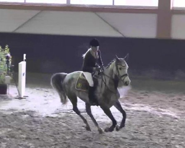 Nationales Hallenspringturnier Sauldorf- Boll 2013