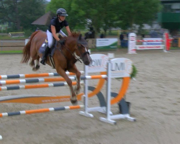 Reitturnier Barlo-Bocholt 2024