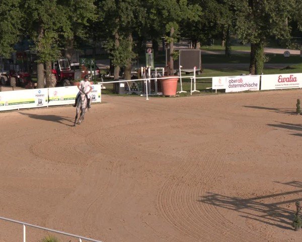 Reitturnier Stadl-Paura 2024