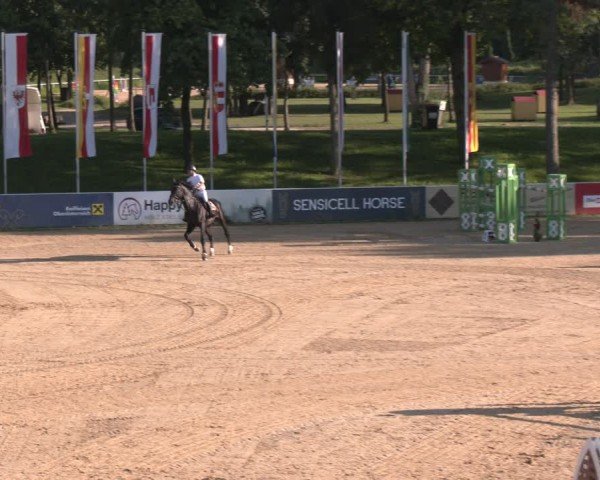 Reitturnier Stadl-Paura 2024