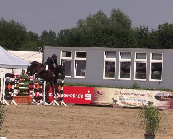 Reitturnier Neustadt/Dosse 2024