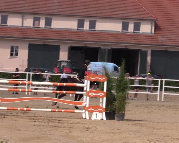 Reitturnier Neustadt/Dosse 2024