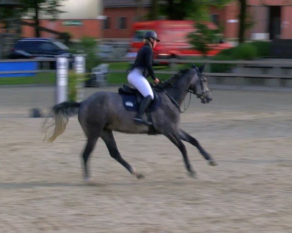 Reitturnier Barlo-Bocholt 2024