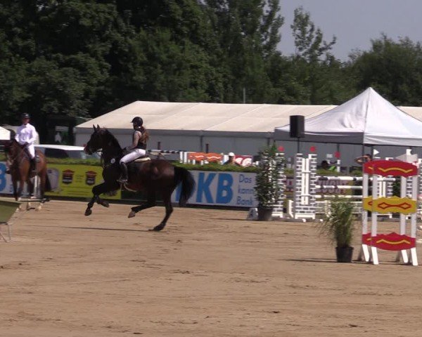 Reitturnier Neustadt/Dosse 2024
