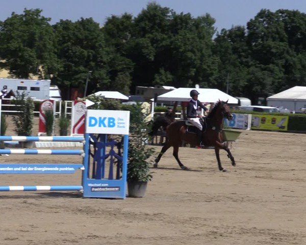 Reitturnier Neustadt/Dosse 2024