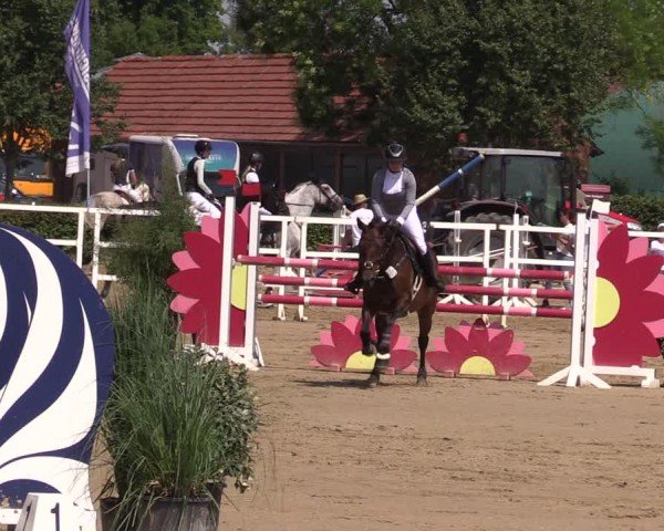 Reitturnier Neustadt/Dosse 2024