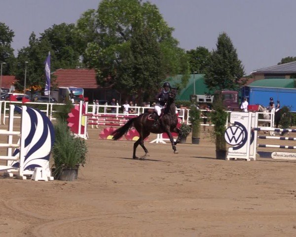 Reitturnier Neustadt/Dosse 2024