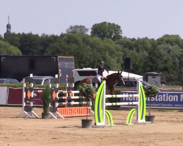 Reitturnier Neustadt/Dosse 2024