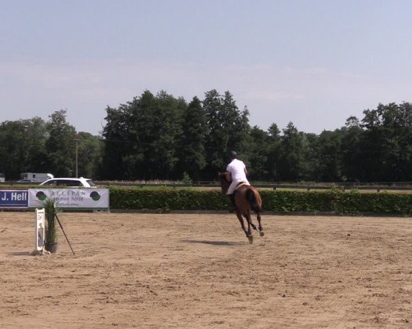 Reitturnier Neustadt/Dosse 2024