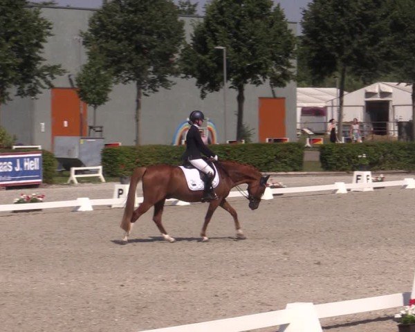 Reitturnier Neustadt/Dosse 2024