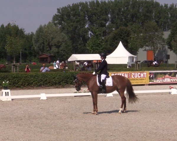 Reitturnier Neustadt/Dosse 2024