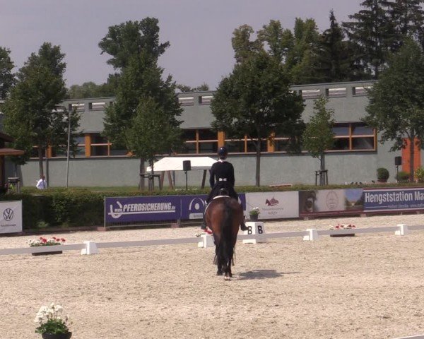 Reitturnier Neustadt/Dosse 2024