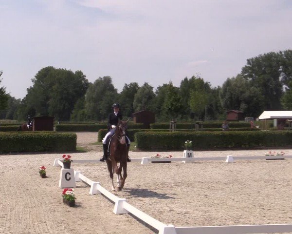 Reitturnier Neustadt/Dosse 2024