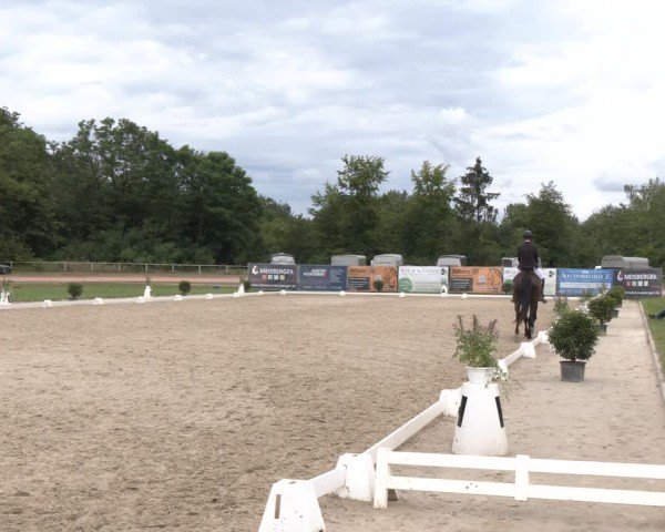 Reitturnier Heiligenwald 2024