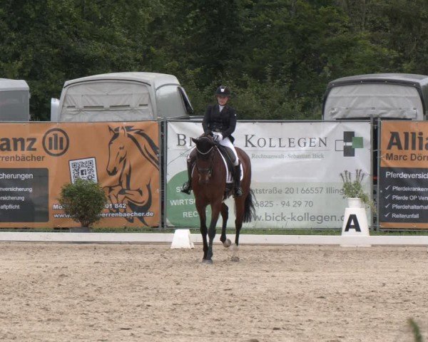 Reitturnier Heiligenwald 2024