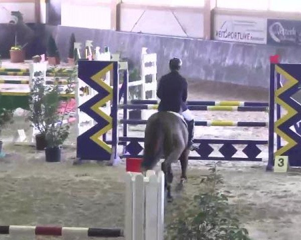 Nationales Hallenspringturnier Sauldorf- Boll 2013