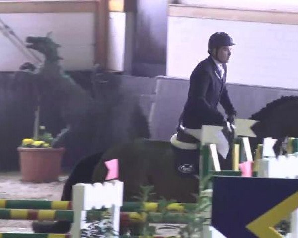Nationales Hallenspringturnier Sauldorf- Boll 2013