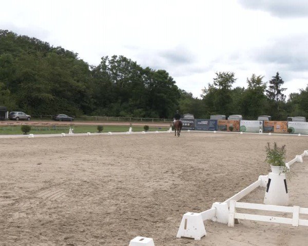 Reitturnier Heiligenwald 2024