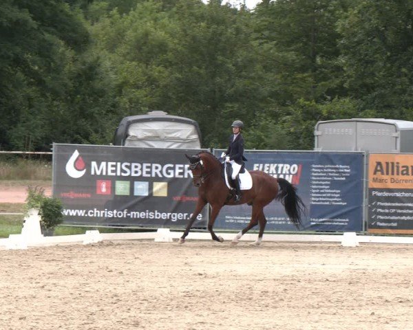 Reitturnier Heiligenwald 2024