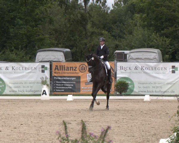 Reitturnier Heiligenwald 2024