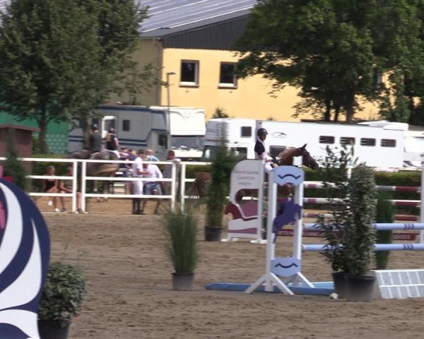 Reitturnier Neustadt/Dosse 2024