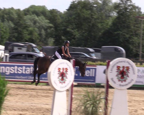 Reitturnier Neustadt/Dosse 2024