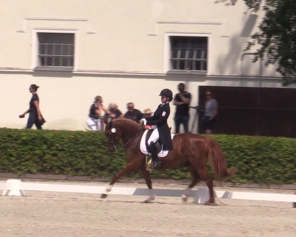 Reitturnier Neustadt/Dosse 2024
