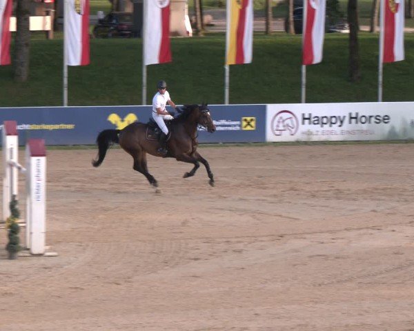 Reitturnier Stadl-Paura 2024