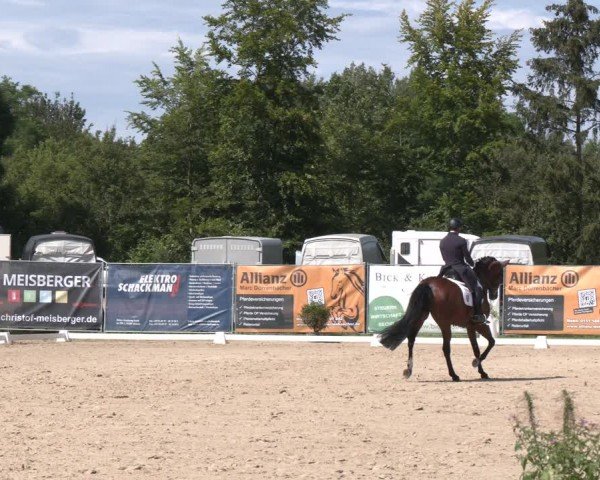 Reitturnier Heiligenwald 2024