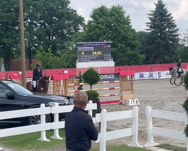 Reitturnier Gütersloh-Avenwedde 2024