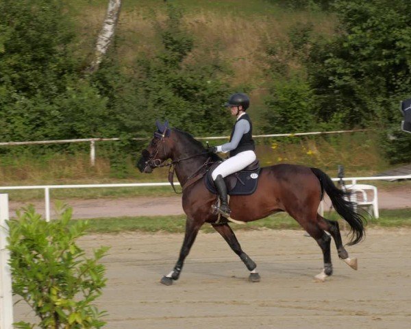 Reitturnier Heiligenwald 2024