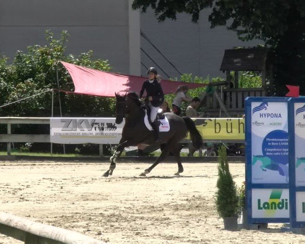 Reitturnier Dagmersellen 2024