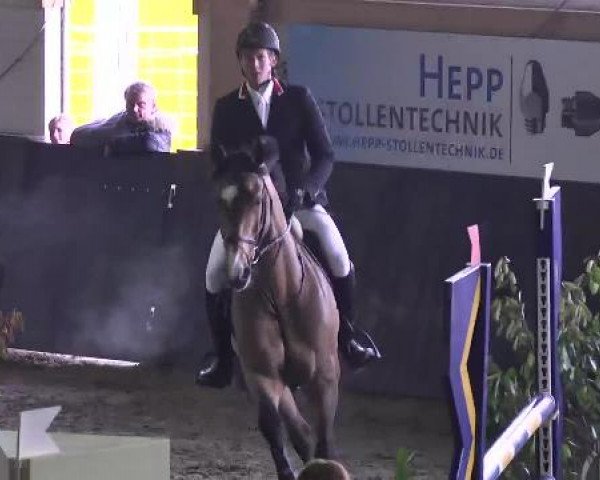 Nationales Hallenspringturnier Sauldorf- Boll 2013