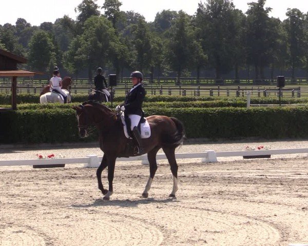 Reitturnier Neustadt/Dosse 2024
