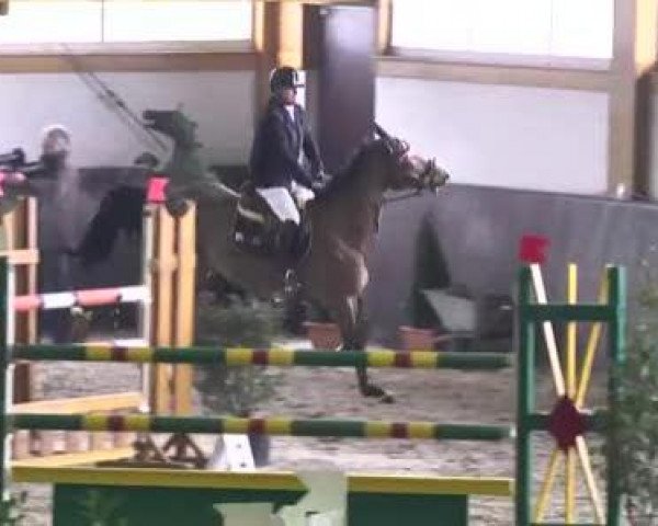 Nationales Hallenspringturnier Sauldorf- Boll 2013