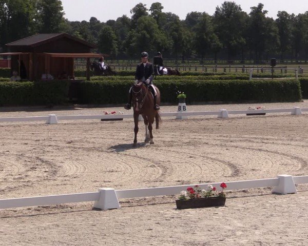 Reitturnier Neustadt/Dosse 2024