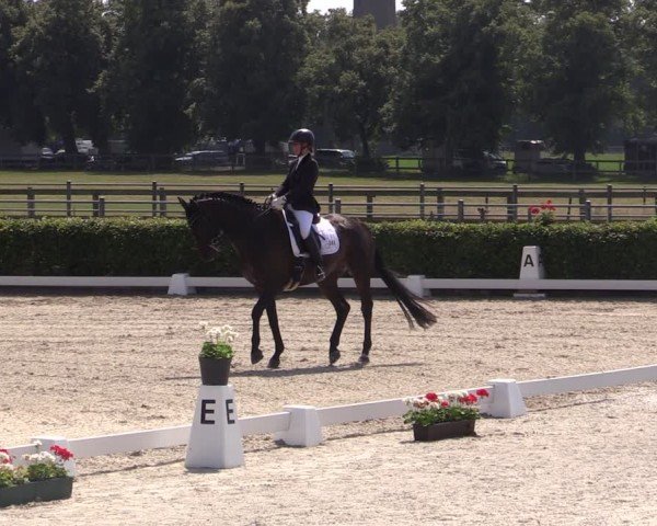 Reitturnier Neustadt/Dosse 2024