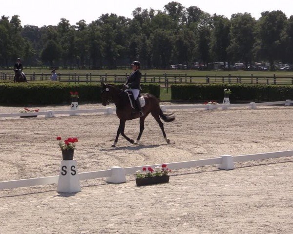 Reitturnier Neustadt/Dosse 2024