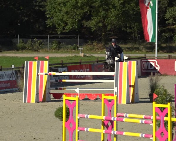 Reitturnier Westergellersen 2021