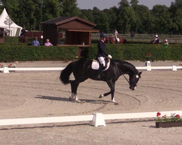 Reitturnier Neustadt/Dosse 2024