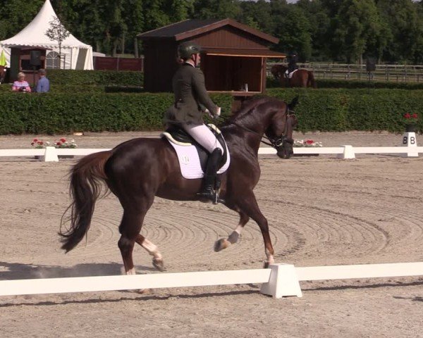 Reitturnier Neustadt/Dosse 2024
