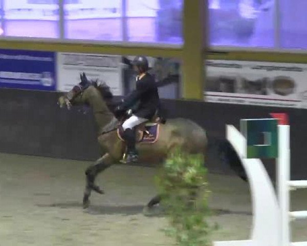 Nationales Hallenspringturnier Sauldorf- Boll 2013