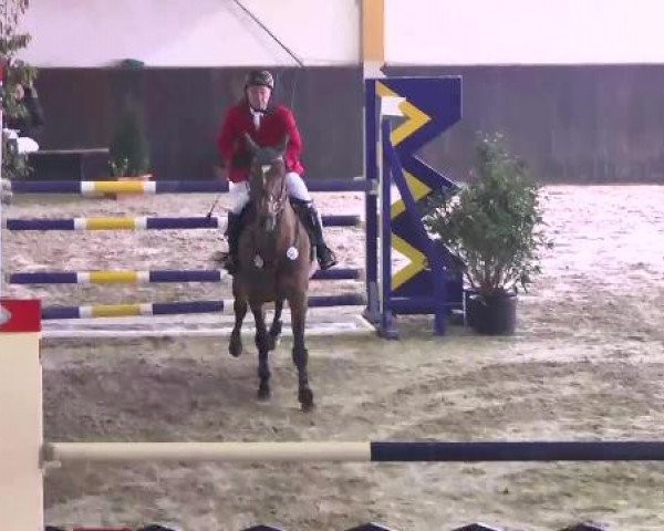 Nationales Hallenspringturnier Sauldorf- Boll 2013