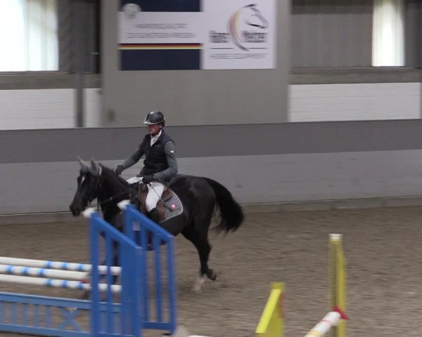 Reitturnier Luhmühlen 2021