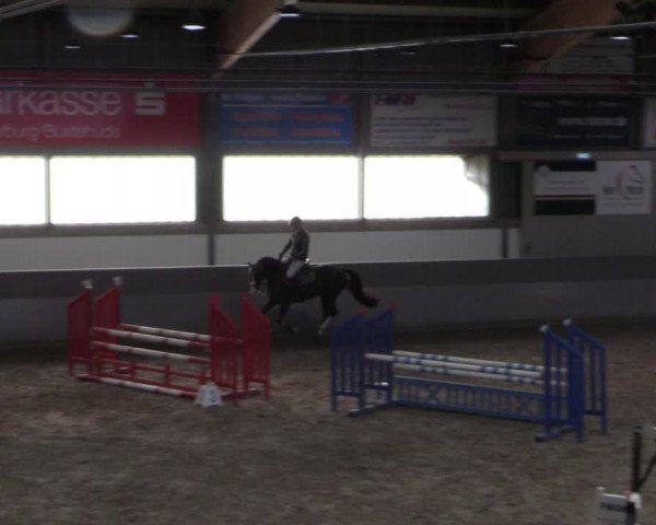 Reitturnier Luhmühlen 2021