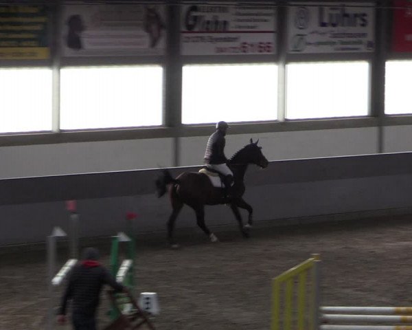 Reitturnier Luhmühlen 2021